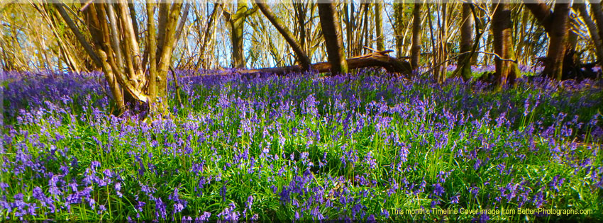 Better Photographs - Free Facebook Timeline Cover Image