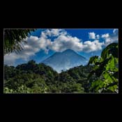 Click for Larger Image