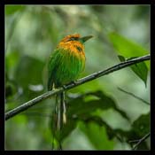 Click for Larger Image