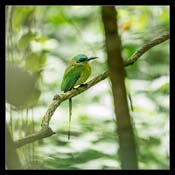 Click for Larger Image