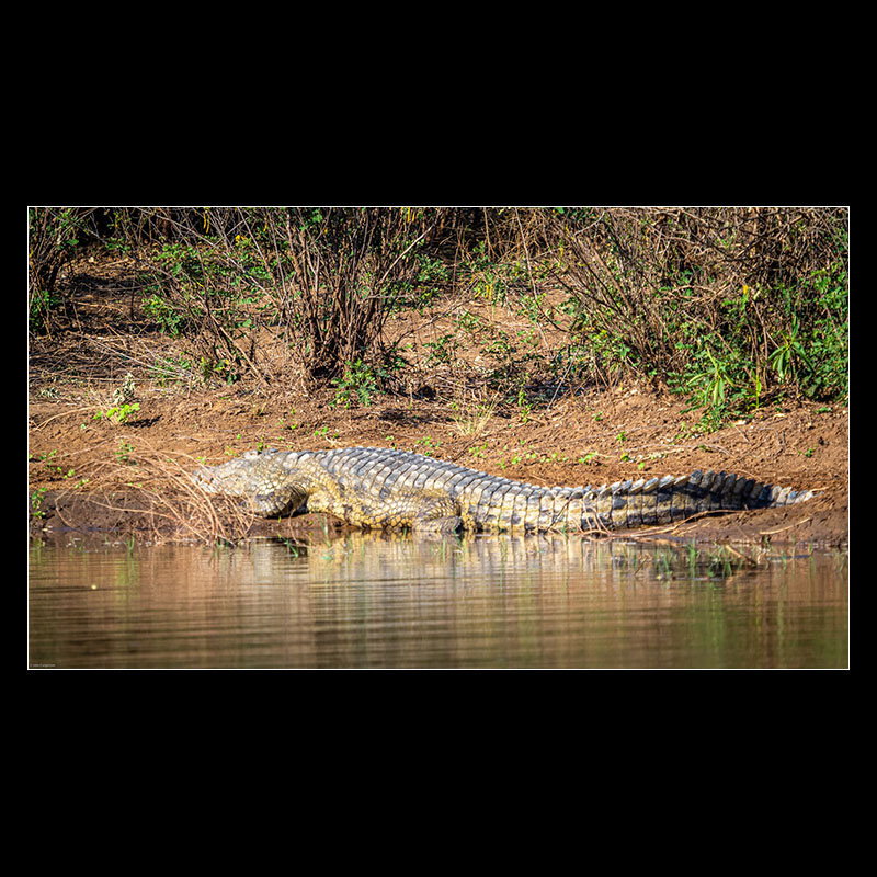 Chongwe River