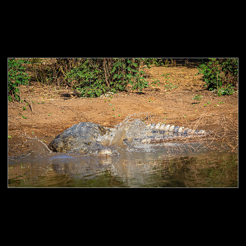 Chongwe River