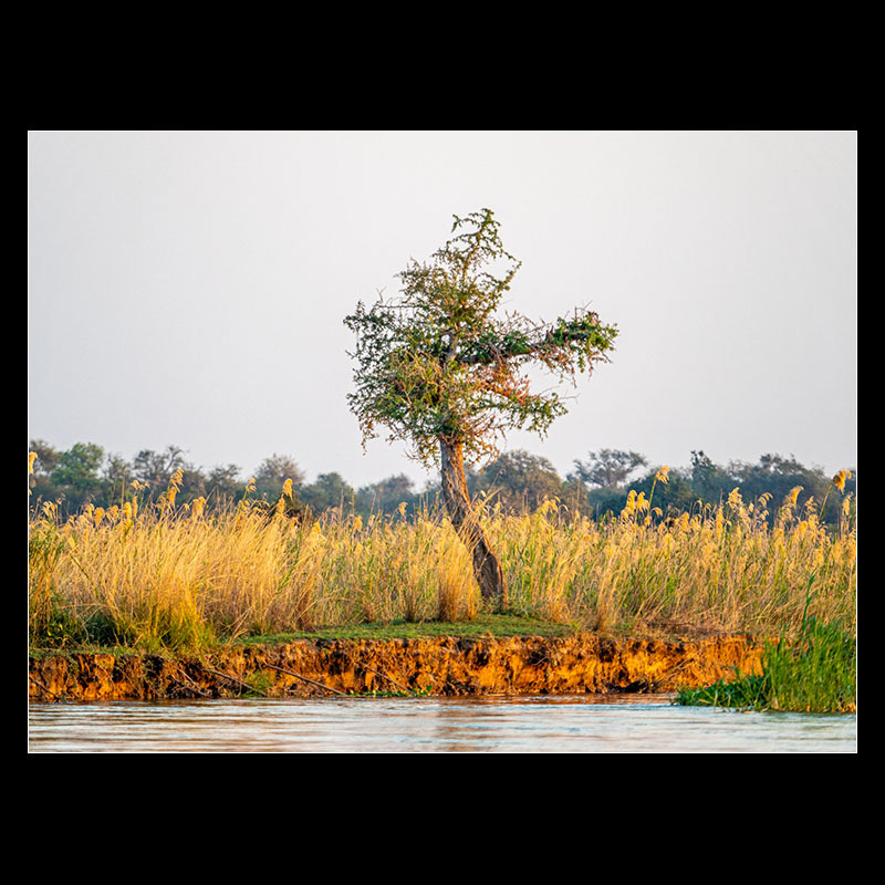 Chongwe River