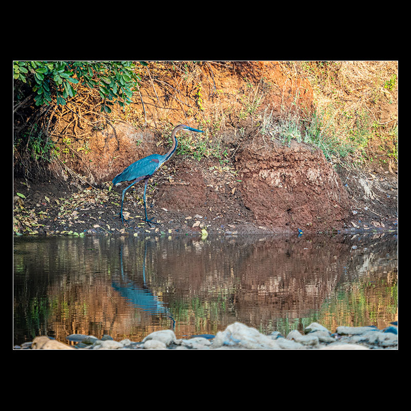 Chongwe River