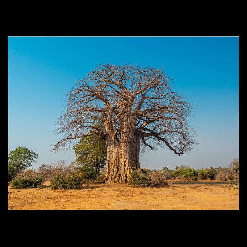 Chongwe River