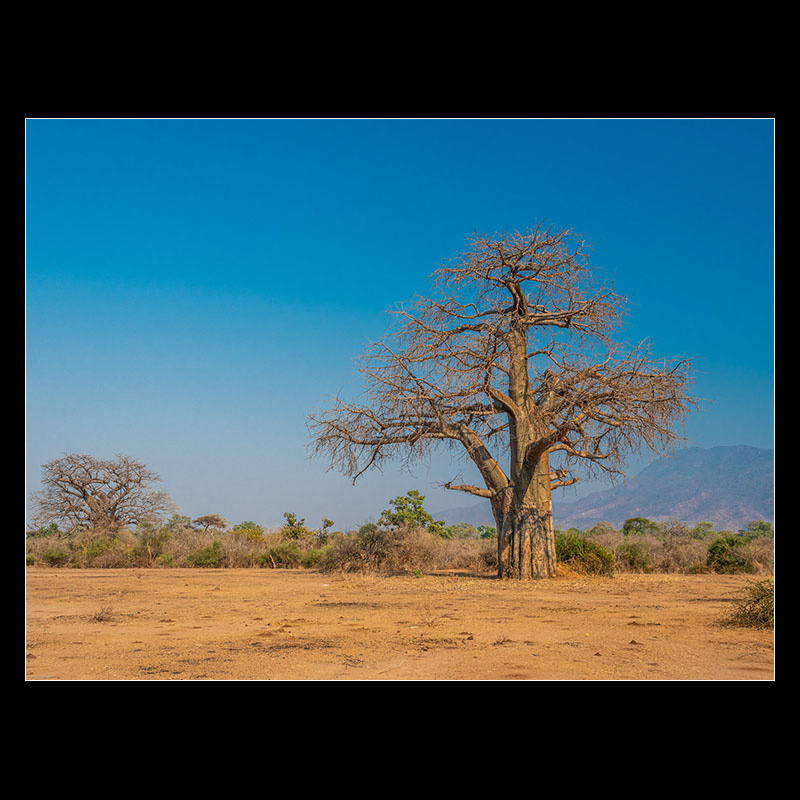 Chongwe River