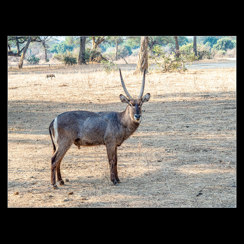Chongwe River