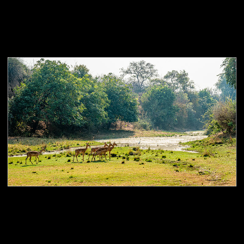 Chongwe River