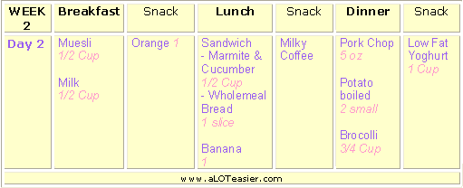 Diet Menu 22