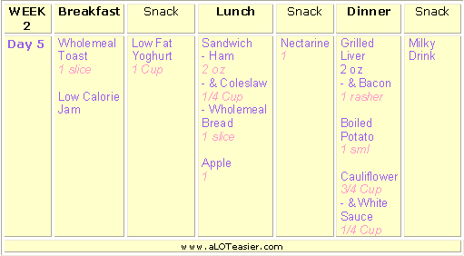 Diet Menu 25