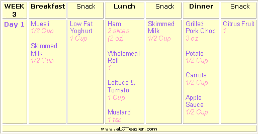 Diet Menu 31