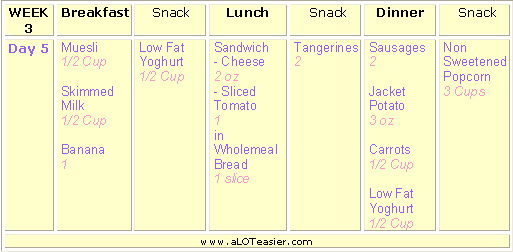 Diet Menu 35