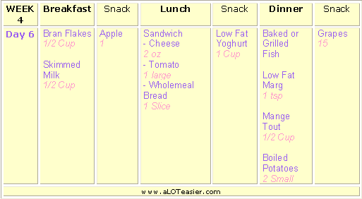 Diet Menu 46