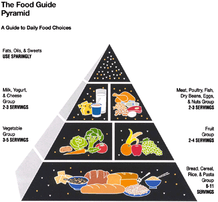 Food Guide Pyramid